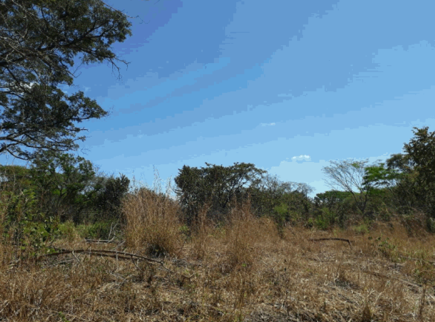 Fotografía 1 de Venta de lote en Abangares, Guanacaste